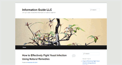 Desktop Screenshot of informationguidellc.com